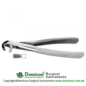 Hawk's Bill English Pattern Tooth Extracting Forcep Fig. 73S (For Lower Molars; Small Beaks) Stainless Steel, Standard